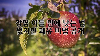 장염😭 이틀 만에 낫는 법? 없지만 쾌유 비법 공개! 🚀